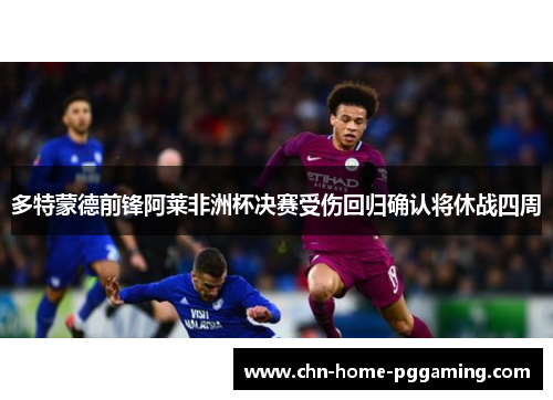 多特蒙德前锋阿莱非洲杯决赛受伤回归确认将休战四周